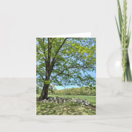 Frühlingstag der Monson Note Card Dankeskarte