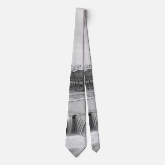 Frühlingstag in Ozark Mill Grayscale Neck Tie Krawatte (Vorderseite)