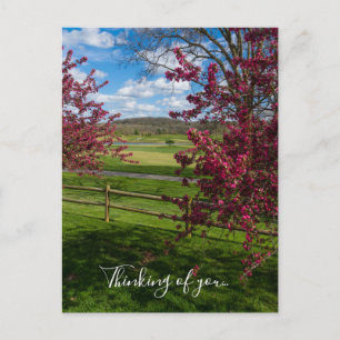 Frühlingstag in Rivercut Denken Sie sich Postcard Postkarte