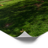 Frühlingstag in Rivercut Poster (Ecke)