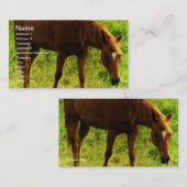 Frühlingstraum, Sorrel, der Gras isst Visitenkarte (Vorne/Hinten)