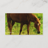 Frühlingstraum, Sorrel, der Gras isst Visitenkarte (Rückseite)