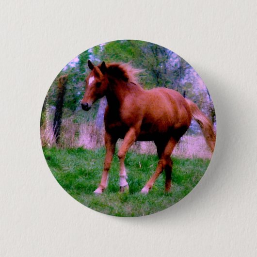 Frühlingstraum, Sorrel Trotting Button (Vorderseite)