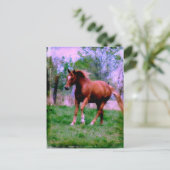 Frühlingstraum, Sorrel Trotting Postkarte (Stehend Vorderseite)