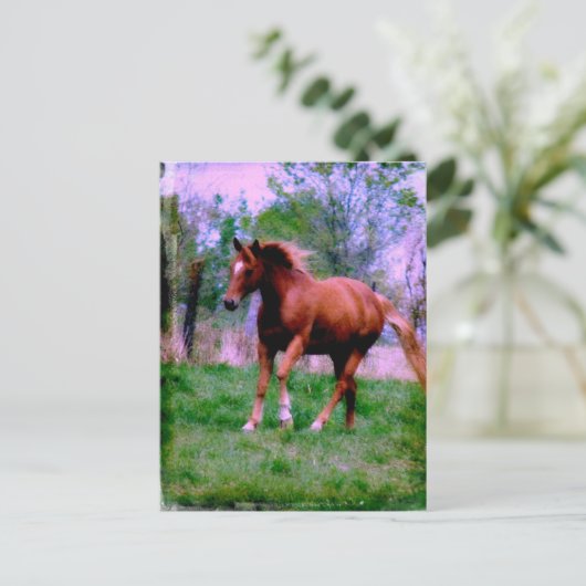 Frühlingstraum, Sorrel Trotting Postkarte (Stehend Vorderseite)