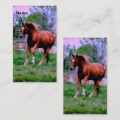 Frühlingstraum, Sorrel Trotting Visitenkarte (Vorne/Hinten)