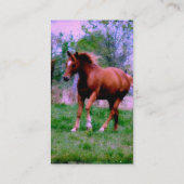 Frühlingstraum, Sorrel Trotting Visitenkarte (Rückseite)