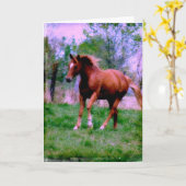 Frühlingstraume, Sorrel Trotting, Geburtstag Karte (Gelbe Blume)