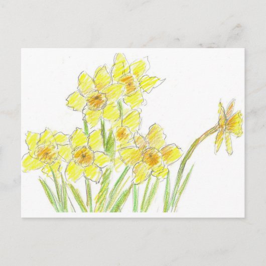 Frühlingstriche Gelbe Blume Postkarte (Vorderseite)