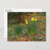 Frühlingstrockner Postkarte (Vorne/Hinten)