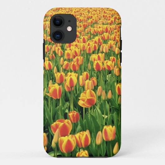 Frühlingstulips blühen vor der alten Scheune. Case-Mate iPhone Hülle (Rückseite)