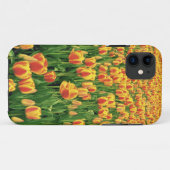 Frühlingstulips blühen vor der alten Scheune. Case-Mate iPhone Hülle (Rückseite (Horizontal))