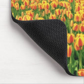 Frühlingstulips blühen vor der alten Scheune. Mousepad (Ecke)