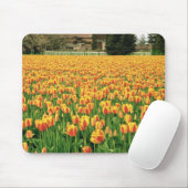 Frühlingstulips blühen vor der alten Scheune. Mousepad (Mit Mouse)