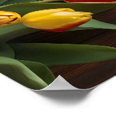 Frühlingstulis für den Valentinstag Poster (Ecke)