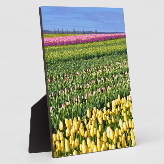 Frühlingstulpenfeld Fotoplatte (Seite)