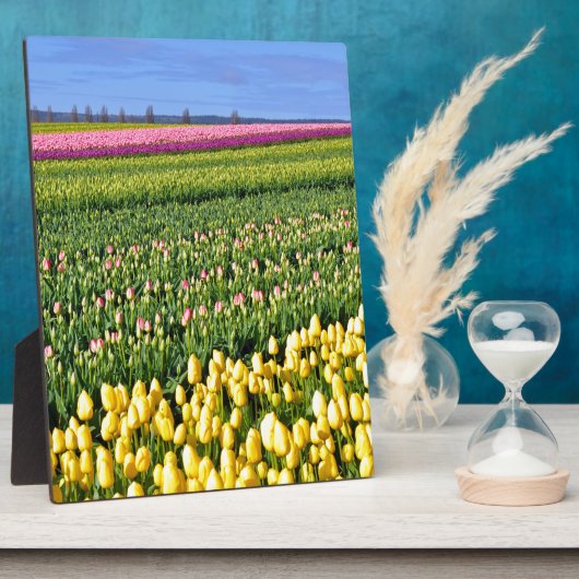 Frühlingstulpenfeld Fotoplatte (Seite)