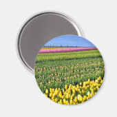 Frühlingstulpenfeld Magnet (Vorderseite/Rückseite)