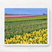 Frühlingstulpenfeld Mousepad (Vorne)