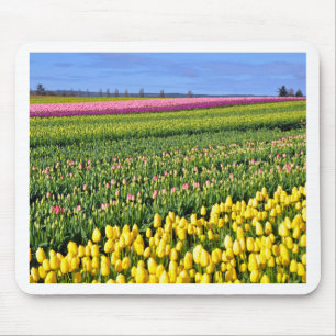 Frühlingstulpenfeld Mousepad