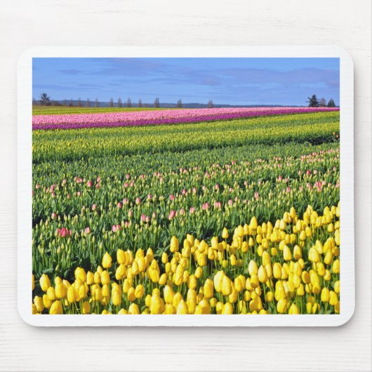 Frühlingstulpenfeld Mousepad (Vorne)
