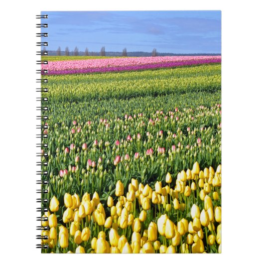 Frühlingstulpenfeld Notizblock (Vorderseite)