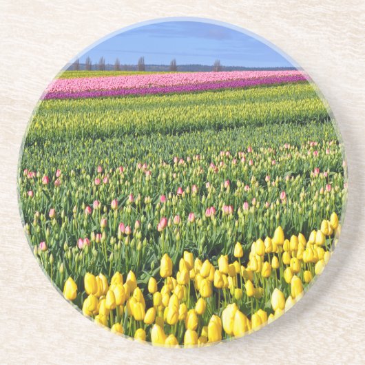 Frühlingstulpenfeld Untersetzer (Vorne)