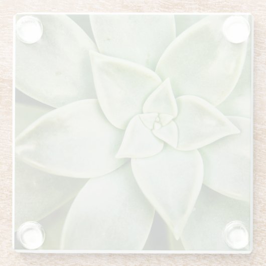 Frühlingsukkulent Glasuntersetzer (Rückseite)