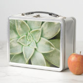 Frühlingsukkulent Metall Brotdose (Beispiel)