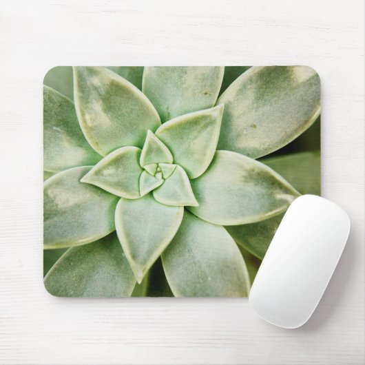 Frühlingsukkulent Mousepad (Mit Mouse)