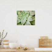 Frühlingsukkulent Poster (Küche)