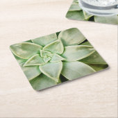 Frühlingsukkulent Rechteckiger Pappuntersetzer (angewinkelt)