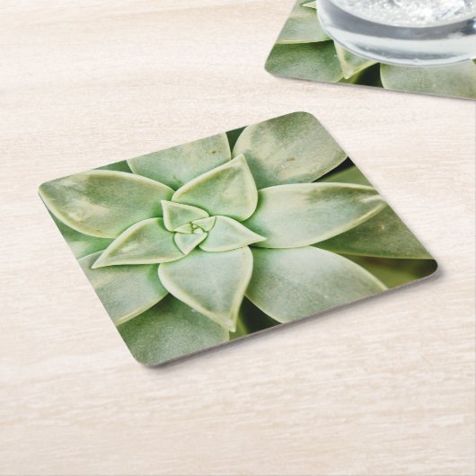 Frühlingsukkulent Rechteckiger Pappuntersetzer (angewinkelt)