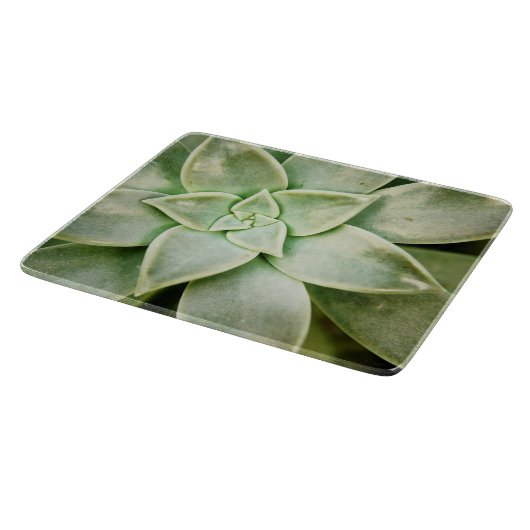 Frühlingsukkulent Schneidebrett (Ecke)