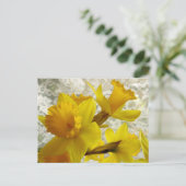 Frühlingsurlaub Daffodie Postkarte (Stehend Vorderseite)
