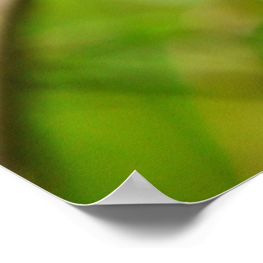 Frühlingsurlaub! Poster (Ecke)