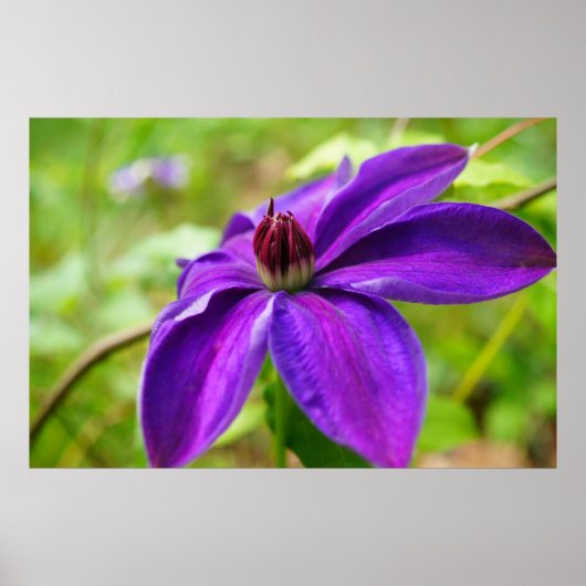 Frühlingsurlaub! Poster (Vorne)