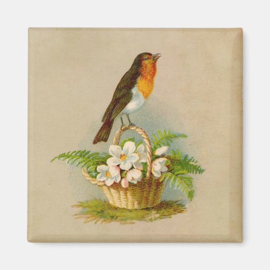 Frühlingsvogel auf Korb Magnet (Vorne)