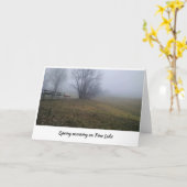 Frühlingsvormittag am Pine Lake Karte (Gelbe Blume)