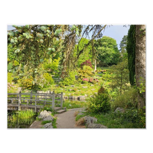 Frühlingsvormittag Fotodruck (Vorne)