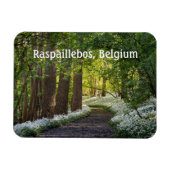 Frühlingsvormittag in Raspaillebos, Belgien Magnet (Horizontal)