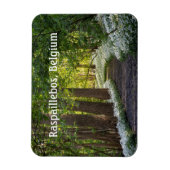 Frühlingsvormittag in Raspaillebos, Belgien Magnet (Vertikal)