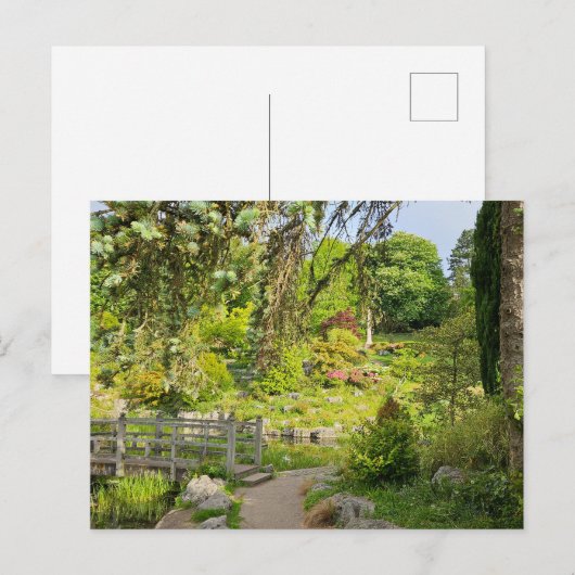 Frühlingsvormittag Postkarte (Vorne/Hinten)