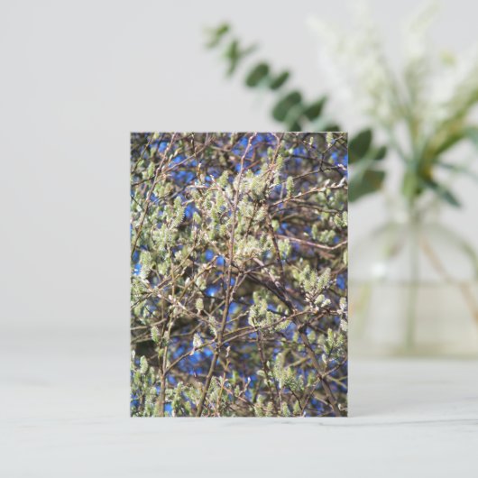 FRÜHLINGSWEIDE POSTKARTE (Stehend Vorderseite)