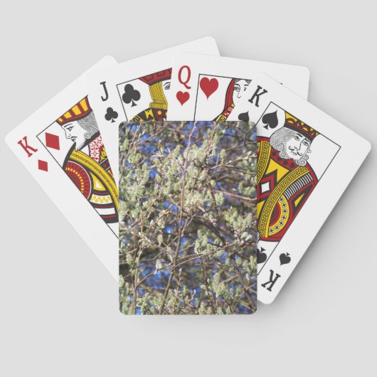 FRÜHLINGSWEIDE SPIELKARTEN (Rückseite)