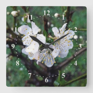 Frühlingsweiß Quadratische Wanduhr