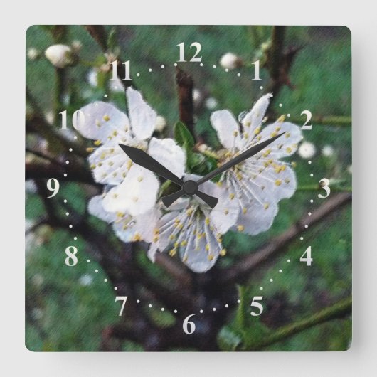 Frühlingsweiß Quadratische Wanduhr (Vorderseite)