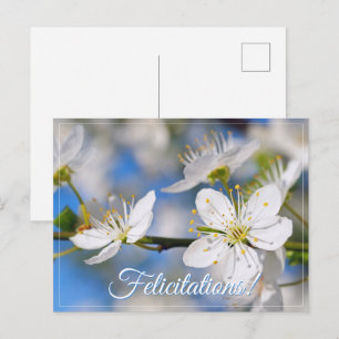 Frühlingsweiße Grüße Postkarte