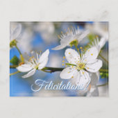 Frühlingsweiße Grüße Postkarte (Vorderseite)
