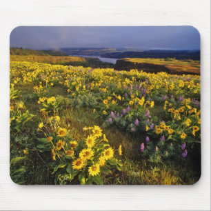 Frühlingswildblumen im Überfluss bei Tom Mousepad